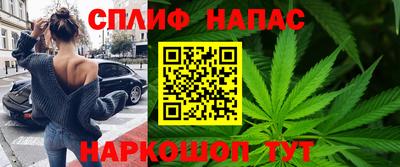 apvp Пугачёв